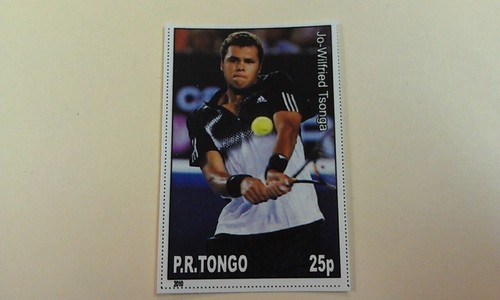Wilfried tsonga 2010 r - tsonga, p.r