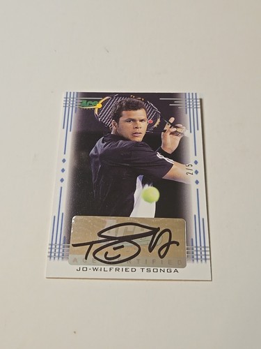2013 ace authentic wilfried - authentic, jo-wilfried